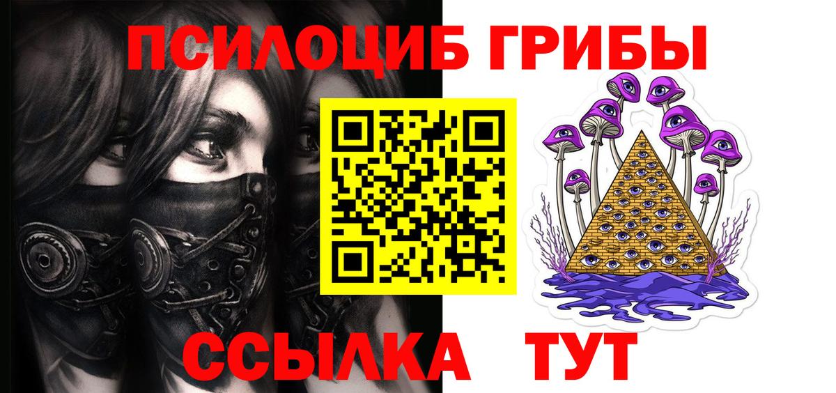 Псилоцибиновые грибы Cubensis Нальчик