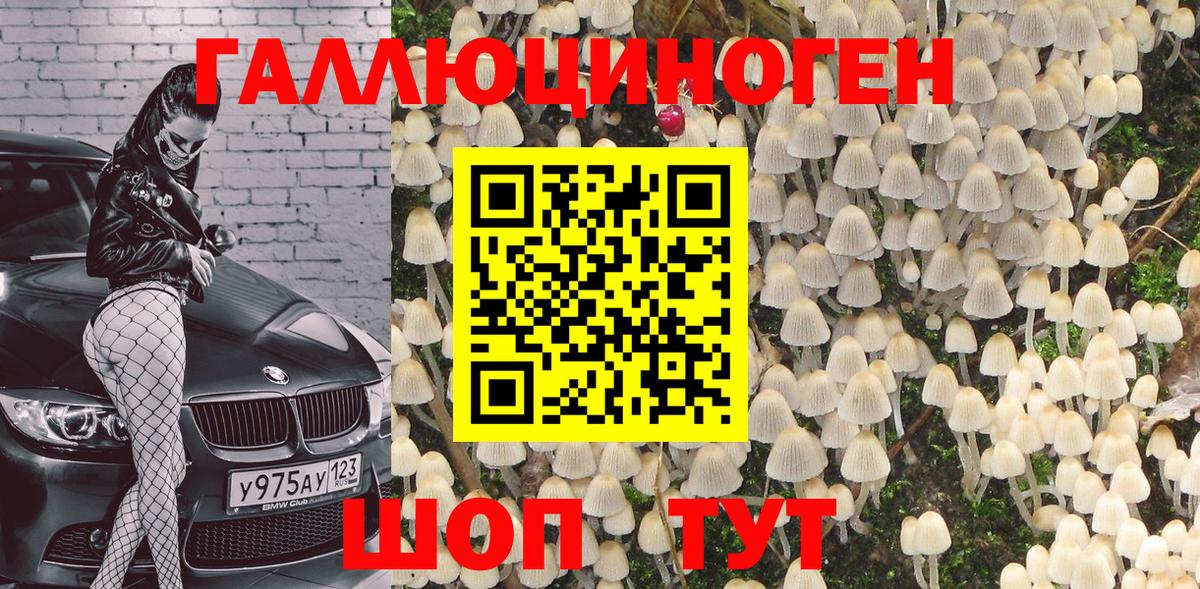 Нальчик  Псилоцибиновые грибы GOLDEN TEACHER  Вход с VPN 