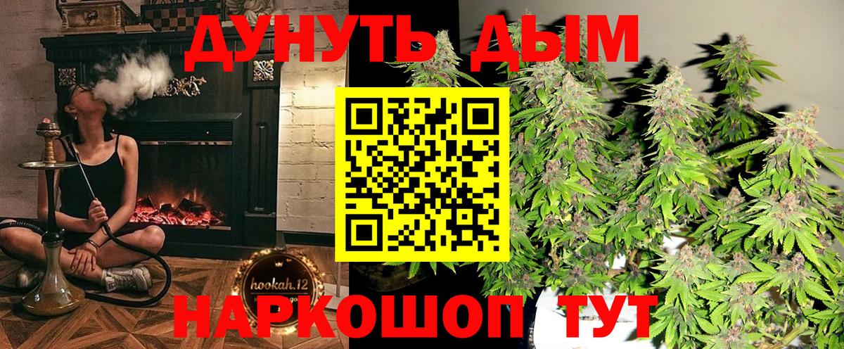 Канабис план Нальчик